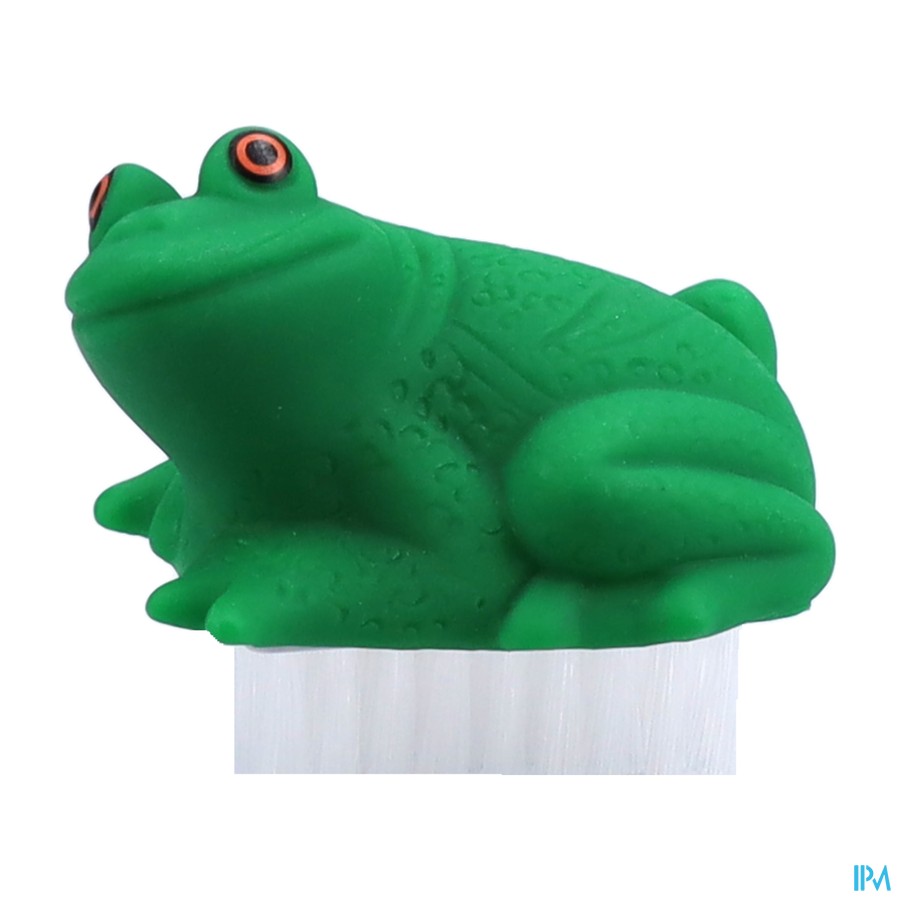 Nagellborstel Diertjes Assortiment