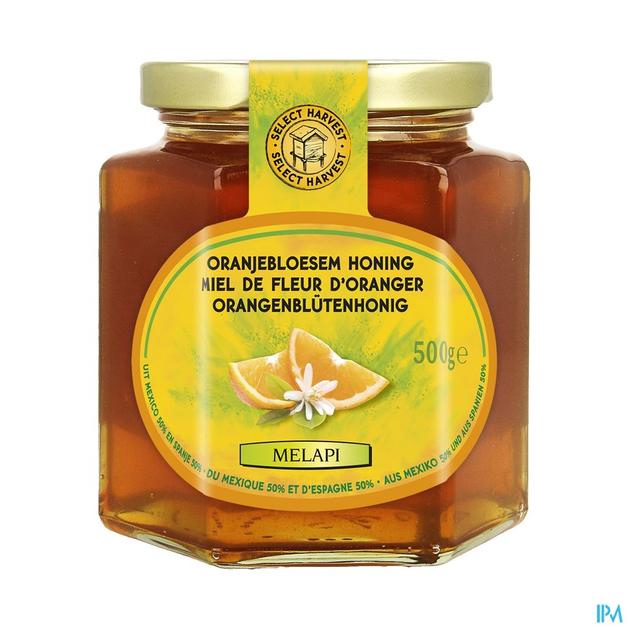 Melapi Honing Oranjebloesem 500g 3049 Revogan