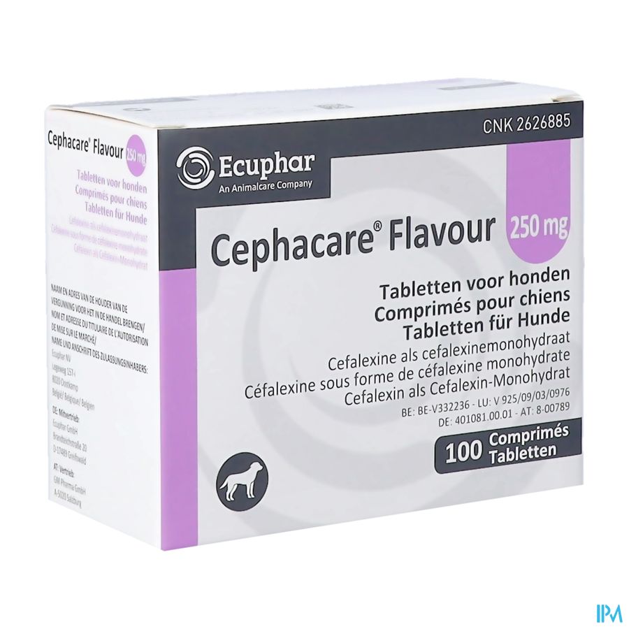 Cephacare Flavour 250mg Comp Honden 100 Cephacare Flavour 250mg Comp Honden 100