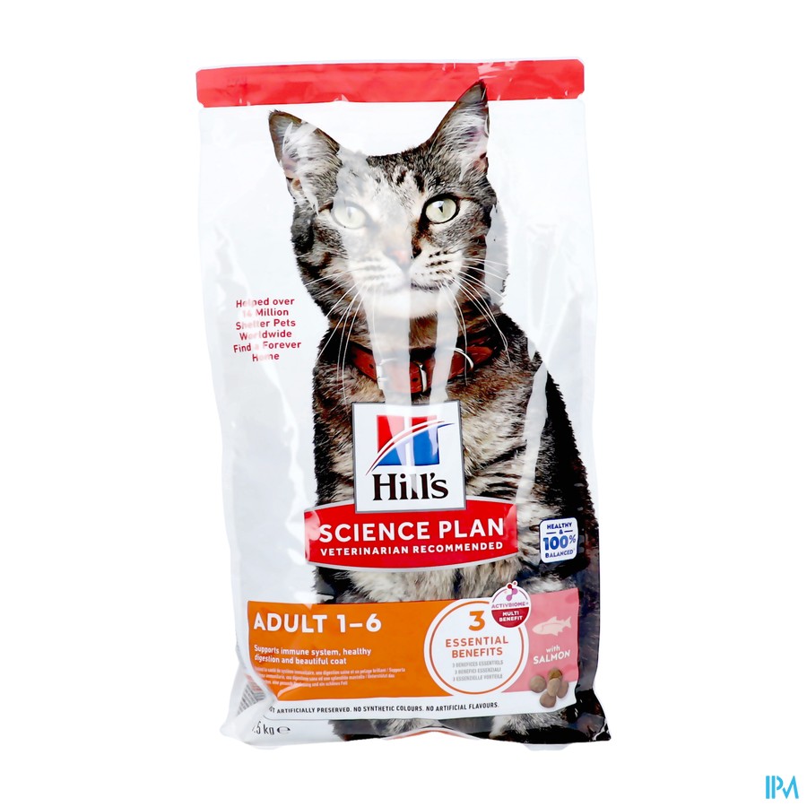 Hills Sp Cat Adult Salmon 1,5kg