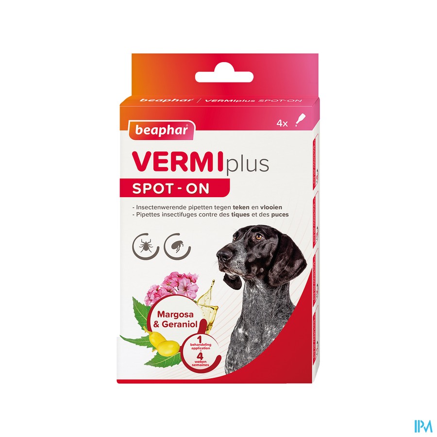Beaphar Vermiplus Spot-on Chien 4x1ml