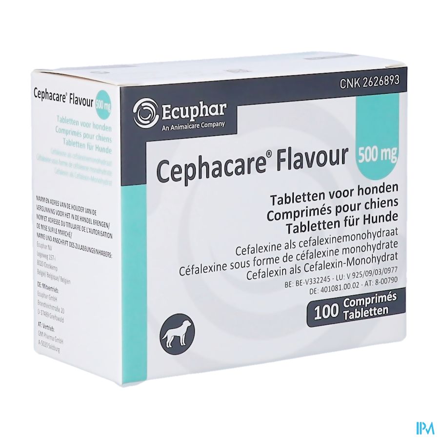 Cephacare Flavour 500mg Comp Honden 100