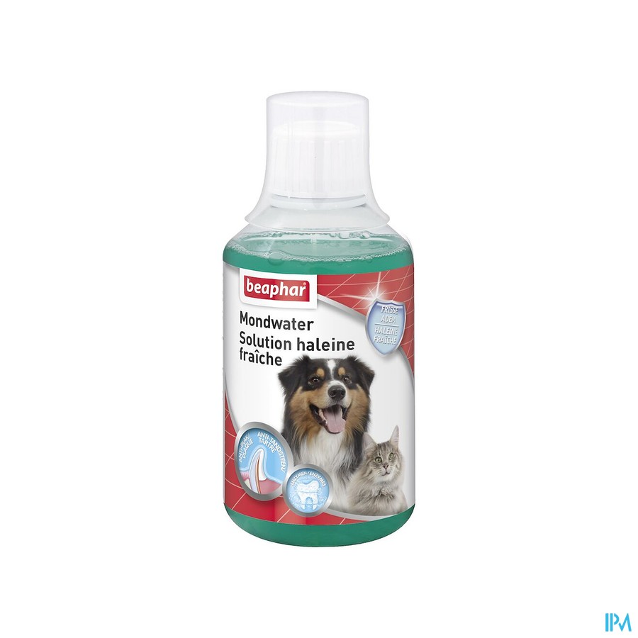 Beaphar Mondwater 250ml