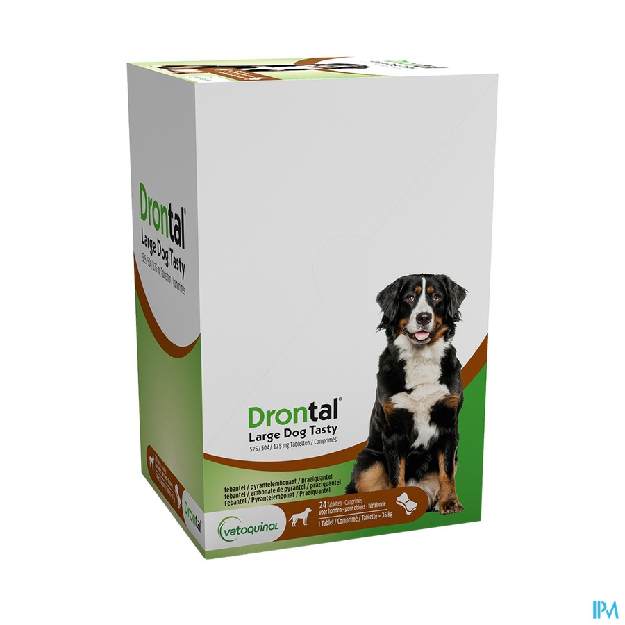 Drontal Large Dog Tasty 525/504/175mg Comp 24