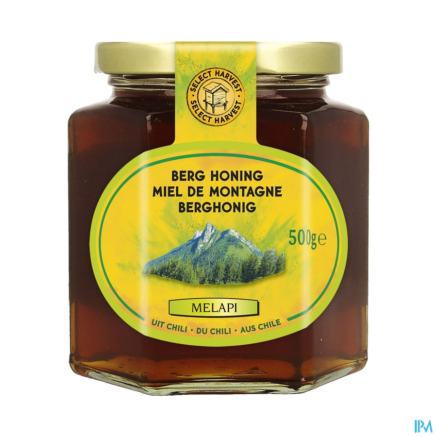 Melapi Miel Montagne 500g 3048 Revogan