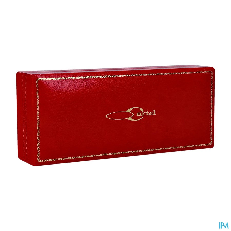 Peigne Professionne Mixte Corne + Ecrin