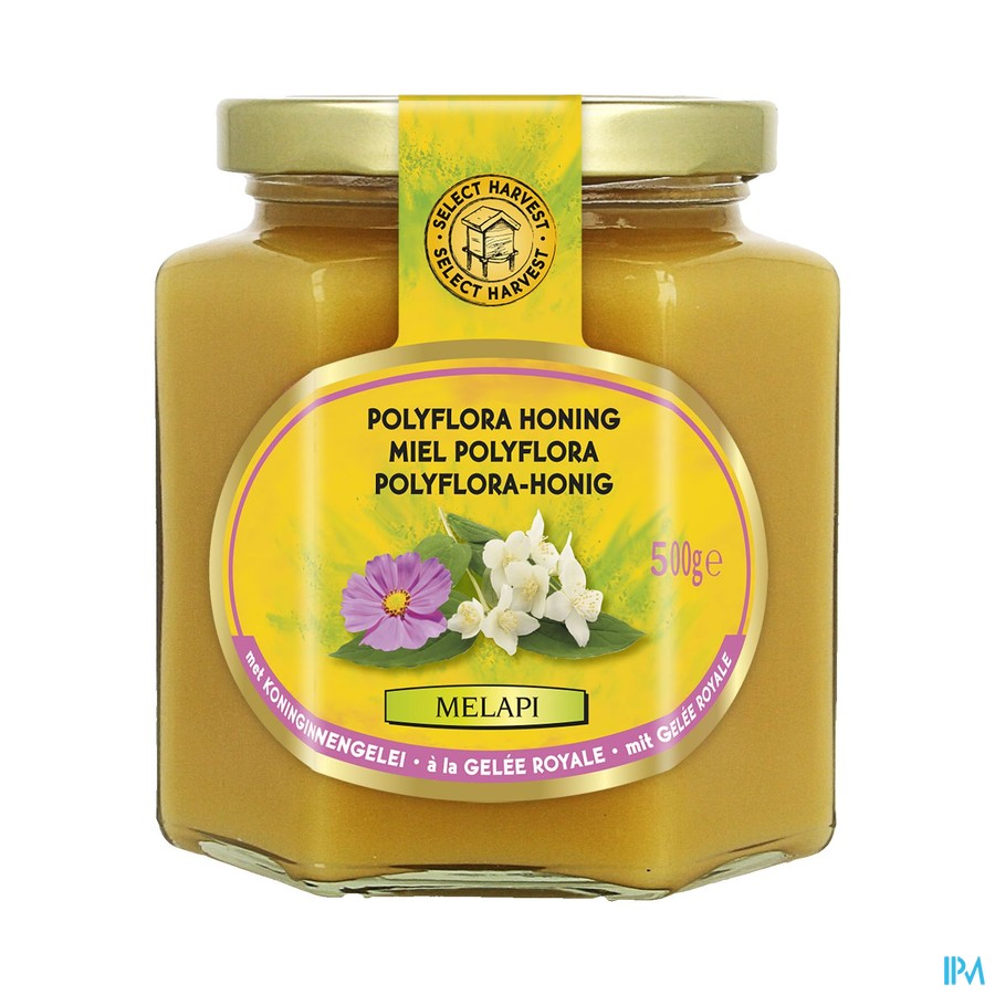 Melapi Polyflora+gelee Royale 500g 5534 Revogan