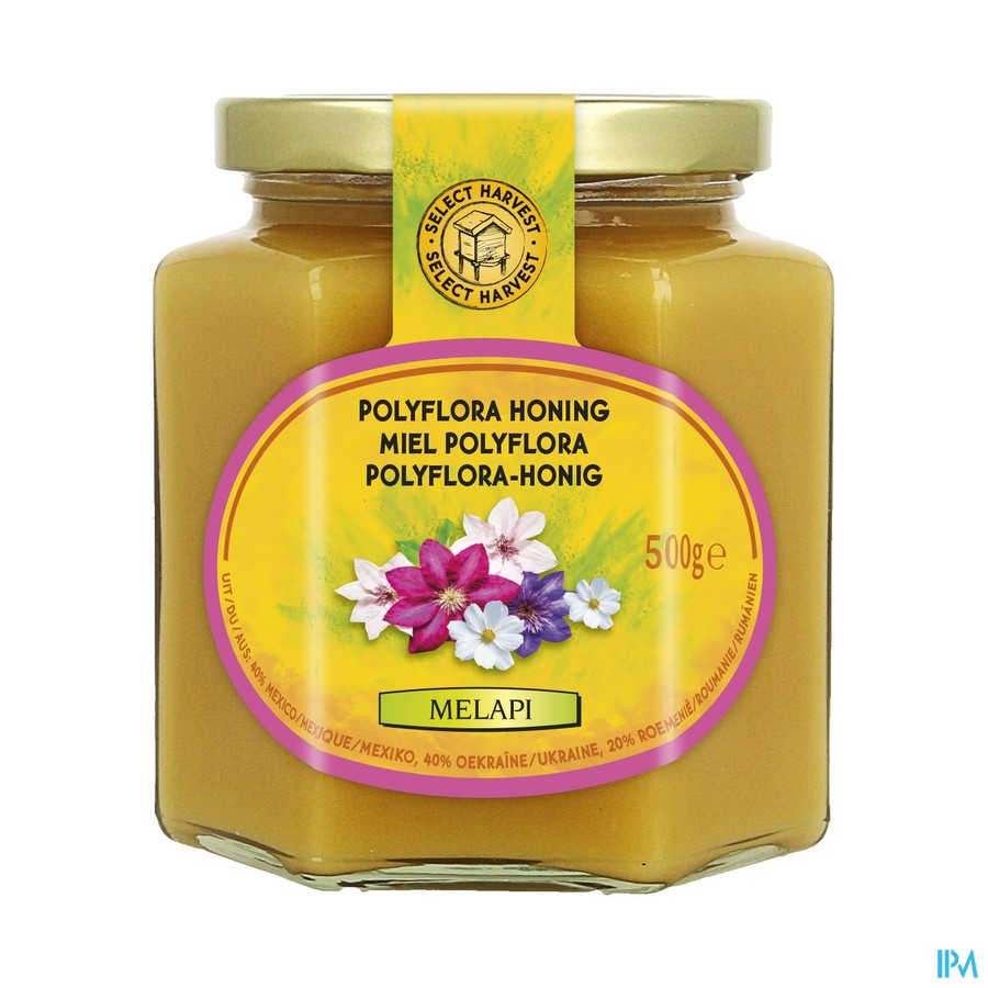 Melapi Miel Polyflora Tendre 500g 5531 Revogan