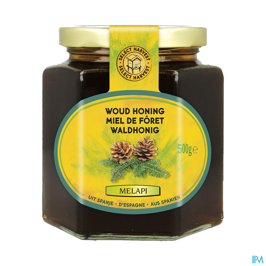 Melapi Honing Woud Vloeibaar 500g Revogan