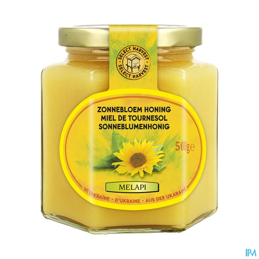 Melapi Honing Zonnebloem Zacht 500g 5536 Revogan