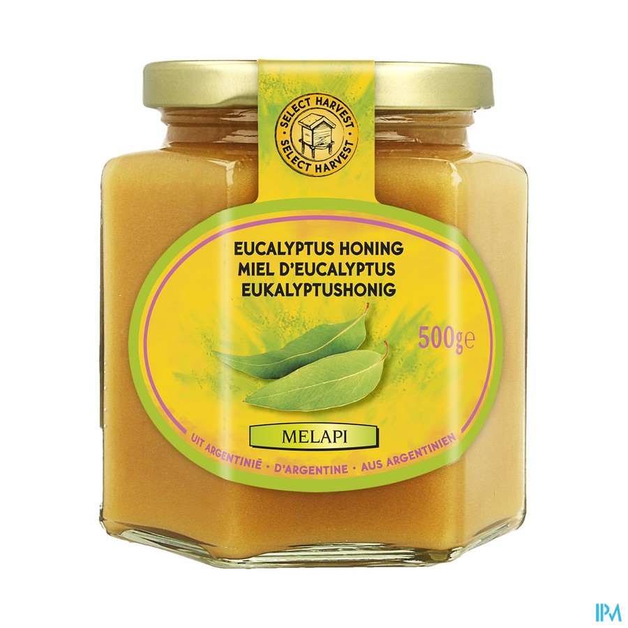 Melapi Honing Eucalyptus Vast 500g 5014 Revogan