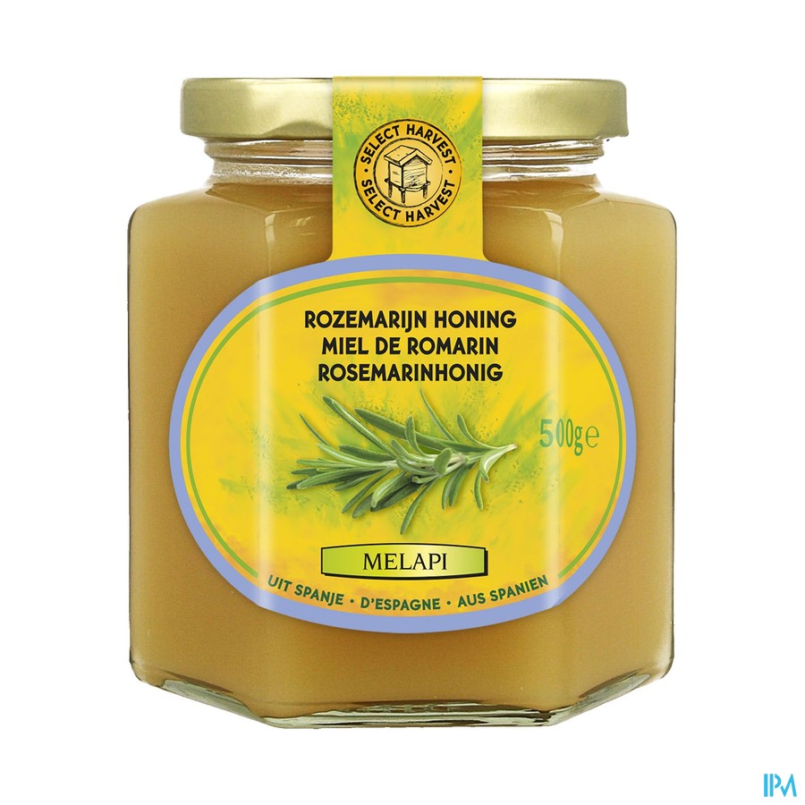 Melapi Miel Romarin Tendre 500g 5532 Revogan