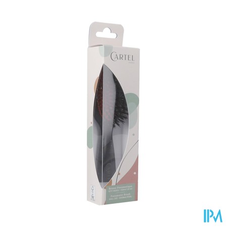 Pneumatische Borstel Met Everzwijnhaar Small