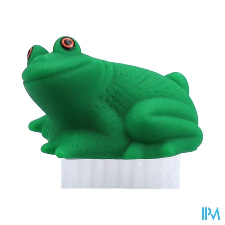 Brosse Ongles Animaux Assortis (asie)