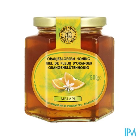 Melapi Honing Oranjebloesem 500g 3049 Revogan
