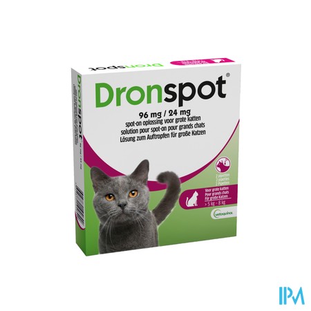 Dronspot 96mg/24mg Spot-on Kat Groot >5-8kg Pip 2