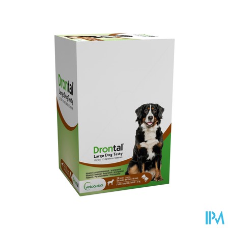 Drontal Large Dog Tasty 525/504/175mg Comp 24