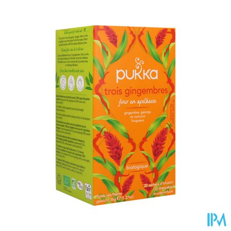 PUKKA INFUS 3GINGEMBRE SACH 20