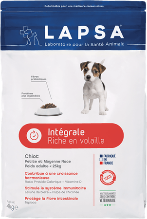 Lapsa Volk.hond Puppy Kleine&middelgrote Ras.12kg