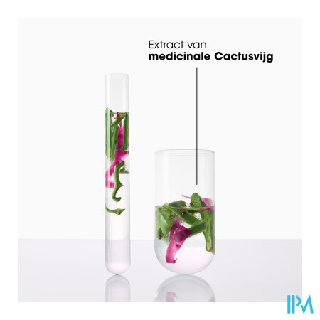 Klorane Capil. Conditioner Cactusvijg 200ml