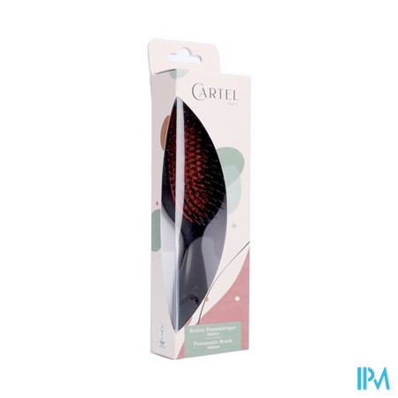 Brosse Pneum. Sanglier/picot Nylon Medium (asie)