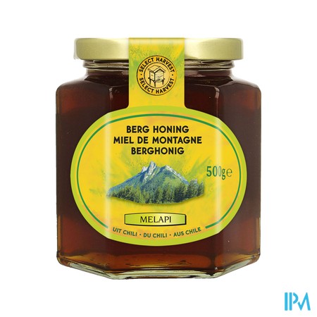 Melapi Miel Montagne 500g 3048 Revogan