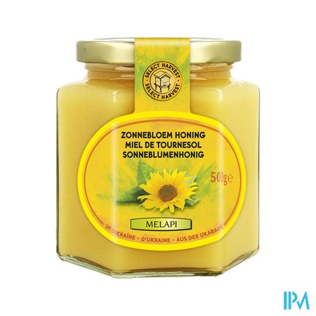 Melapi Honing Zonnebloem Zacht 500g 5536 Revogan