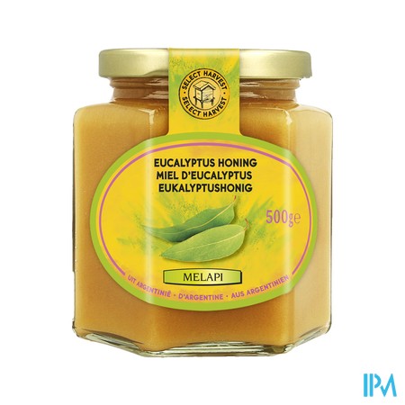 Melapi Honing Eucalyptus Vast 500g 5014 Revogan