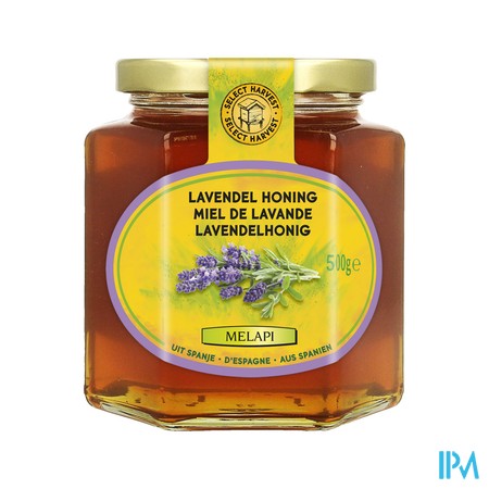 Melapi Miel Lavande Tendre 500g 5528 Revogan